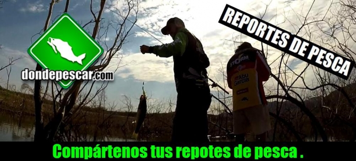 Reportes de pesca.jpg